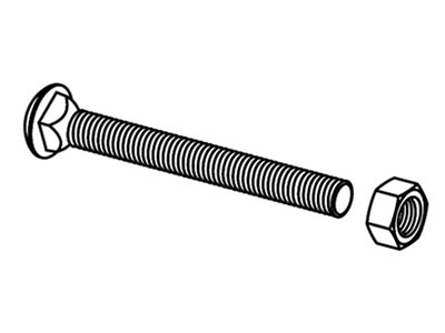 A piece of 0.375 inch and 5 inch carriage bolts on the white background.